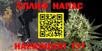 МДПВ Сланцы