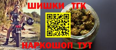 МДПВ Сланцы